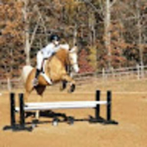 Meet your Posher, Marley